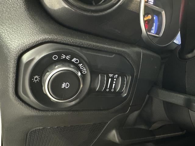 2020 Jeep Wrangler Black and Tan