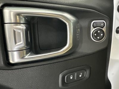 2020 Jeep Wrangler Black and Tan