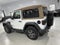 2020 Jeep Wrangler Black and Tan