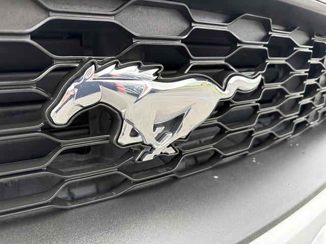 2019 Ford Mustang EcoBoost Premium Convertible