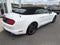 2019 Ford Mustang EcoBoost Premium Convertible