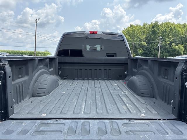 2017 Ford Super Duty F-250 SRW Platinum 4WD Crew Cab 6.75' Box
